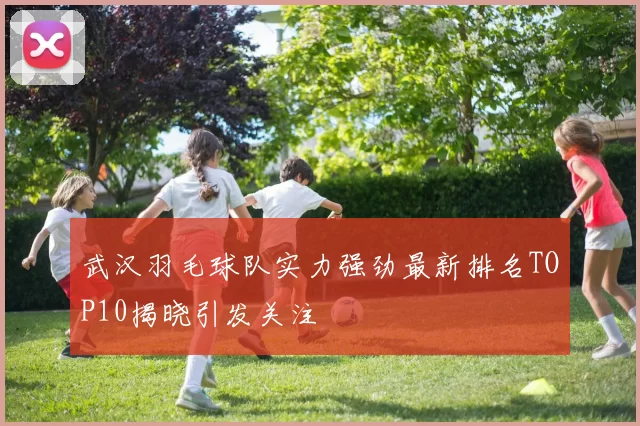 武汉羽毛球队实力强劲最新排名TOP10揭晓引发关注