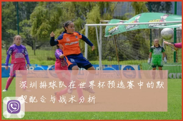 深圳排球队在世界杯预选赛中的默契配合与战术分析
