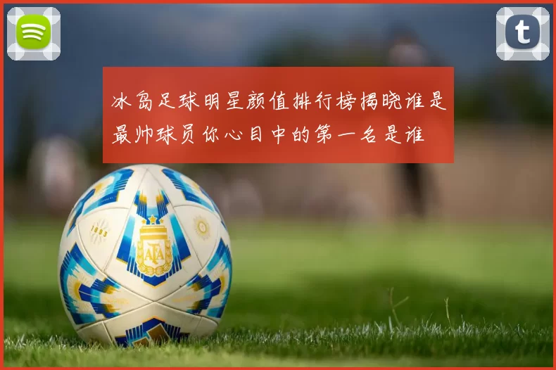 冰岛足球明星颜值排行榜揭晓谁是最帅球员你心目中的第一名是谁