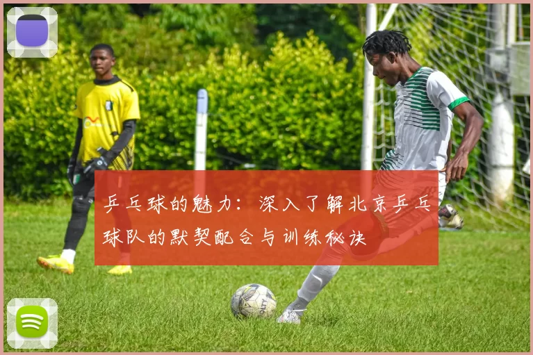 乒乓球的魅力：深入了解北京乒乓球队的默契配合与训练秘诀
