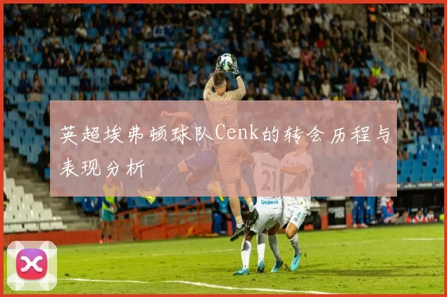 英超埃弗顿球队Cenk的转会历程与表现分析