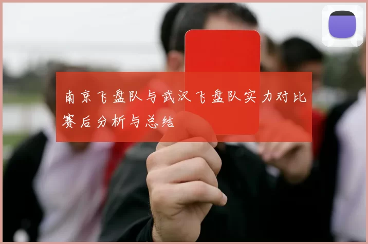 南京飞盘队与武汉飞盘队实力对比赛后分析与总结