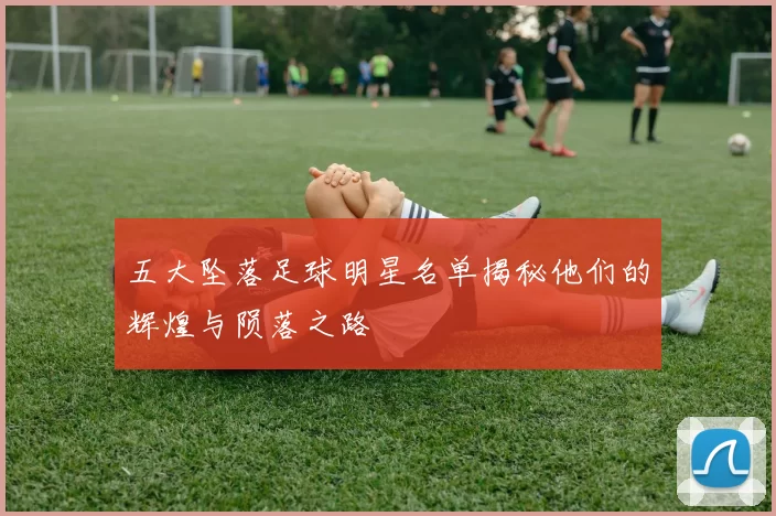 五大坠落足球明星名单揭秘他们的辉煌与陨落之路