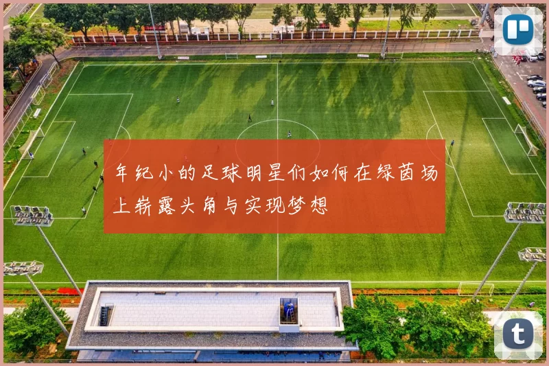 年纪小的足球明星们如何在绿茵场上崭露头角与实现梦想