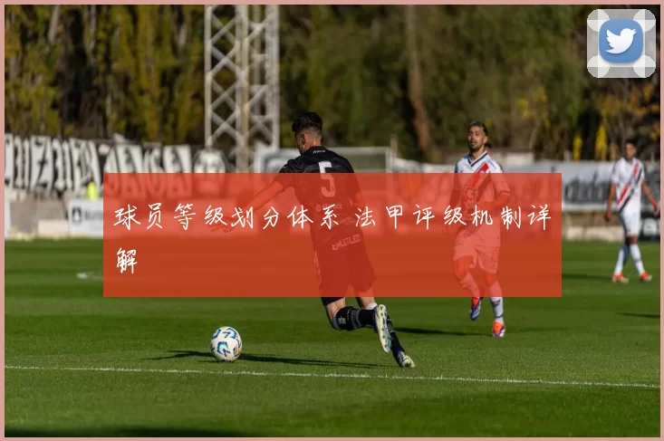 球员等级划分体系 法甲评级机制详解