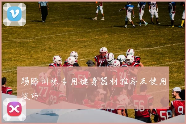 踢膝训练专用健身器材推荐及使用技巧