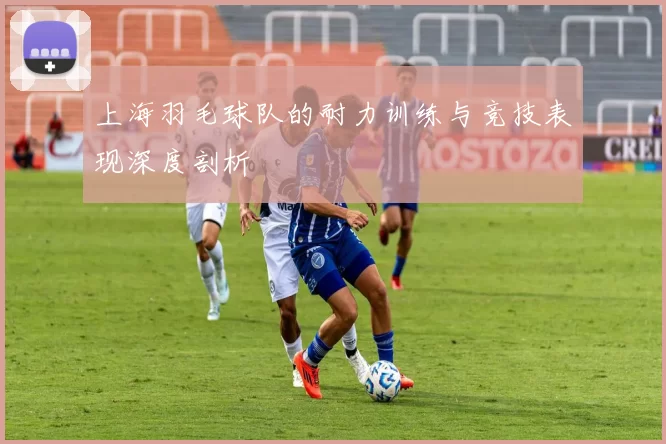 上海羽毛球队的耐力训练与竞技表现深度剖析