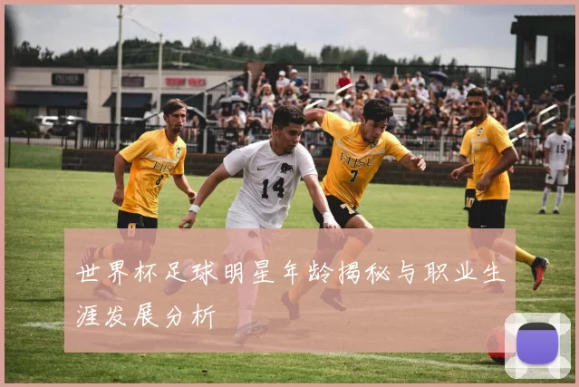 世界杯足球明星年龄揭秘与职业生涯发展分析